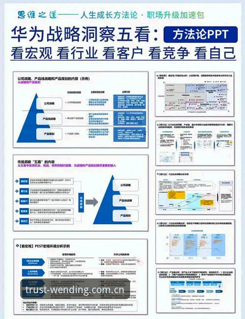 问鼎官网登录常见问题最新动态：用户反馈与行业观察深度解析